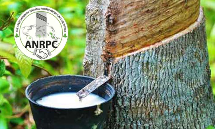 ANRPC releases monthly Natural Rubber statistical report, January-February 2022 