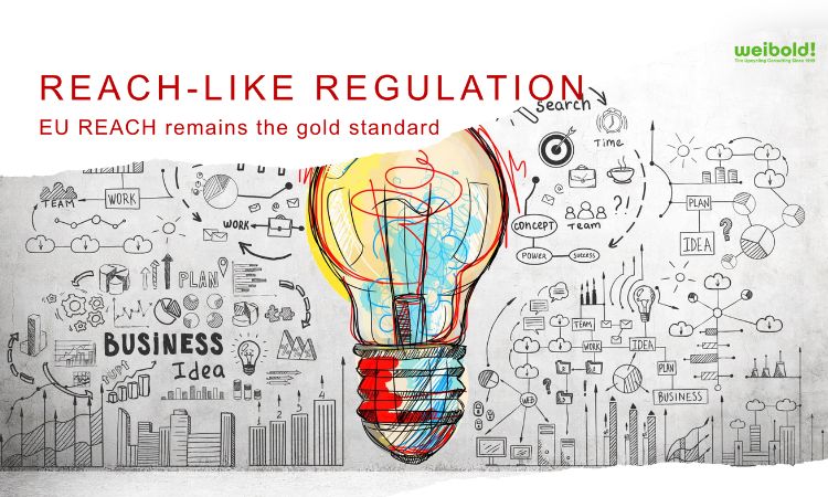 Weibold Academy: Global REACH-like chemical regulations