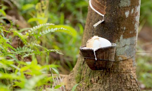 ANRPC releases Natural Rubber Trends & Statistics for August–December 2019