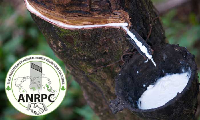 ANRPC releases monthly Natural Rubber statistical report, July 2023