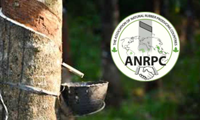 ANRPC released monthly natural rubber statistics report, May 2023