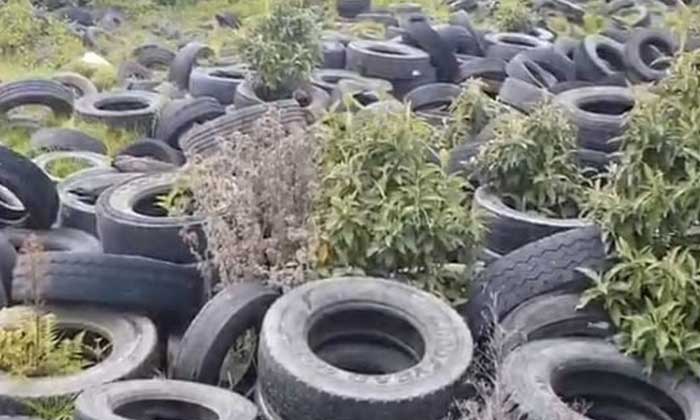 Colombia continues to encourage tire collection activities via “Llantaton” days