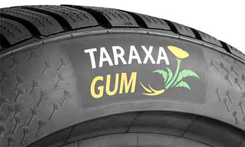 Continental receives award for tires made from dandelion rubber