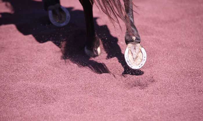 Italian end-of-life tire management authority promotes recycled rubber solutions for equestrian sports