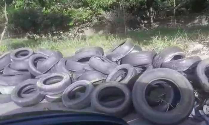 Dumped in the Amazon tires to be recycled in Paraná