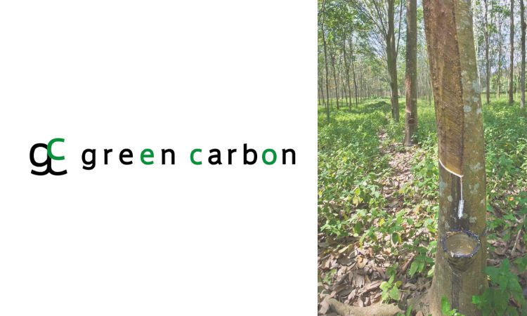 Japan's Green Carbon and Thailand Natural Rubber join forces for biochar carbon credits