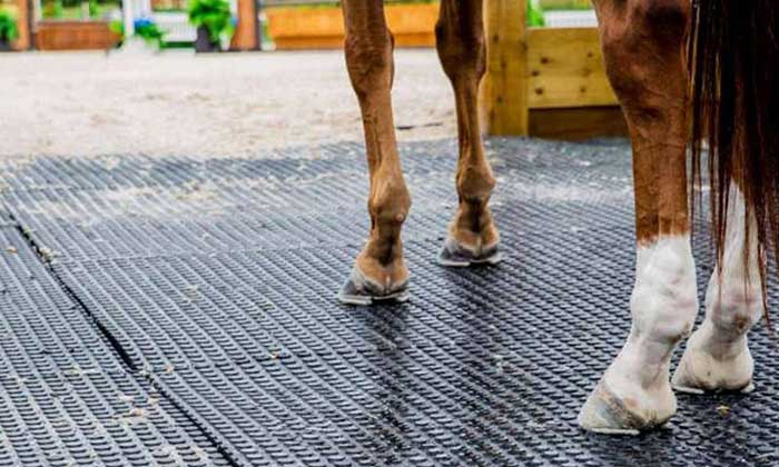 Canadian manufacturer North West Rubber creates innovative rubber mats for horses