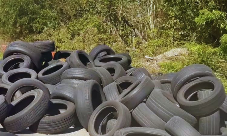 New Orleans to launch incentive program to combat illegal tire dumping