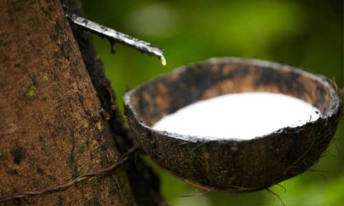 Natural rubber prices continue to stay low despite fluctuations