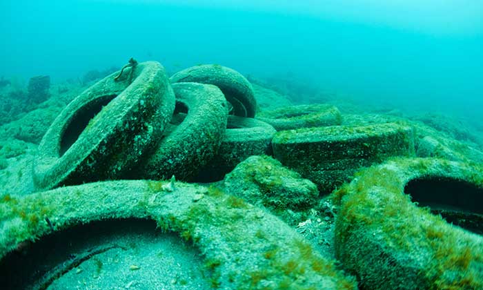 Ocean Legacy Foundation and Tire Stewardship BC join forces to deal with marine tire waste