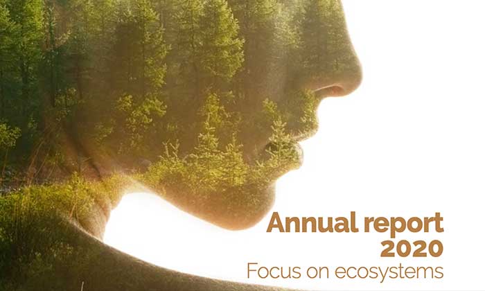 Swedish Tyre Recycling Association releases the 2020 annual report focusing on ecosystems