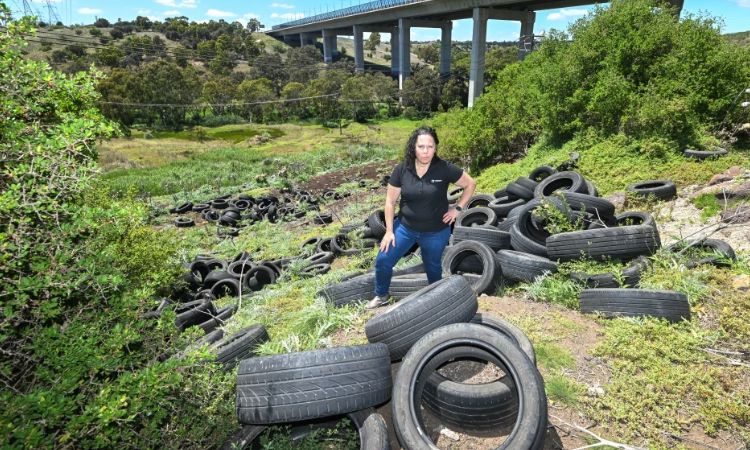 Victoria's tire dumping: growing environmental concern
